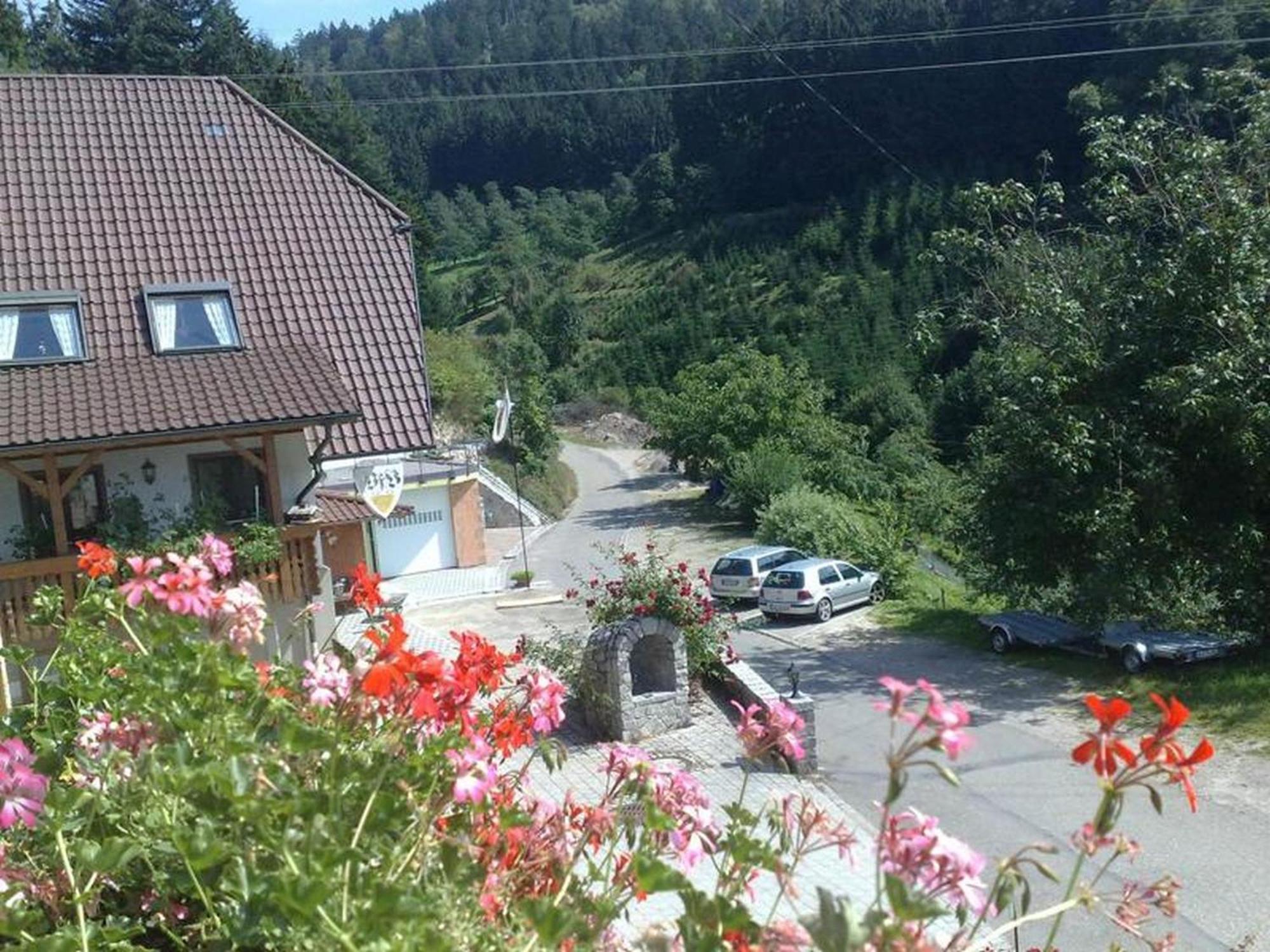 Ferienwohnung Schneckenhus Lautenbach Exterior photo