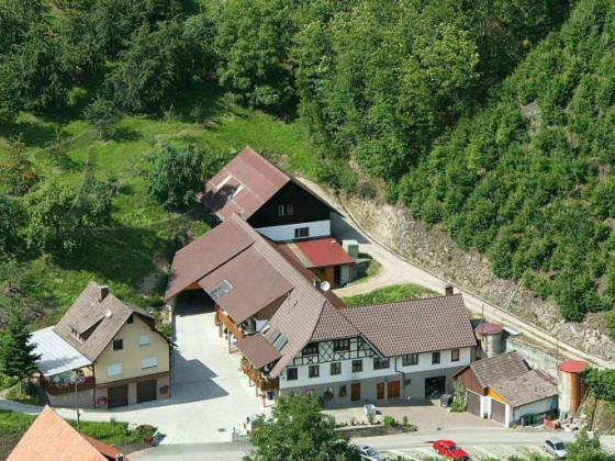 Ferienwohnung Schneckenhus Lautenbach Exterior photo